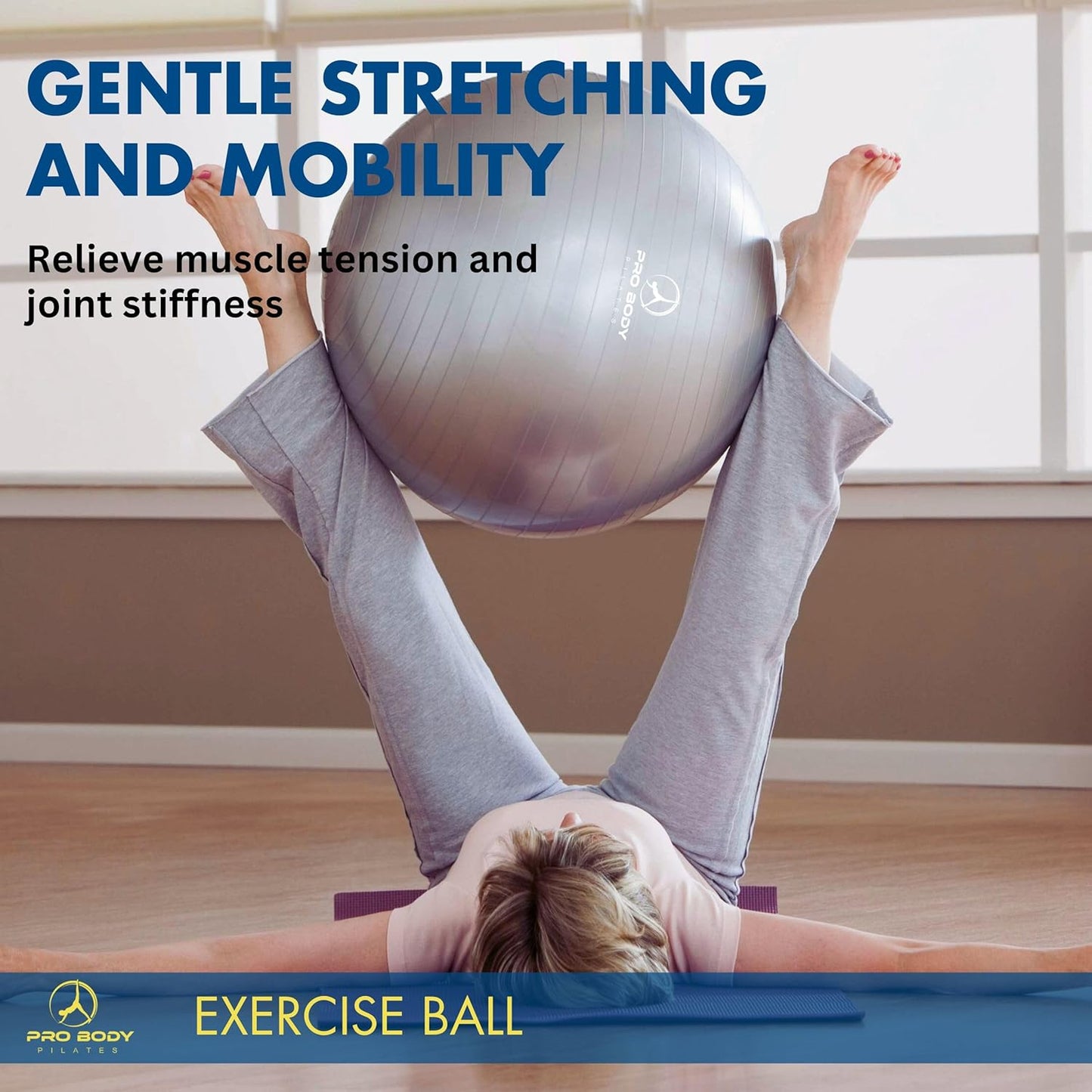 Exercise Ball